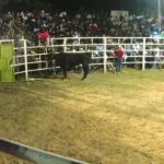 Cuatro muertes, deja accidente vial en Ayoquezco