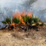 Inicia INE distribución de boletas y documentación electoral