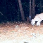 Alimentos que debes evitar en el desayuno para no inflamarte