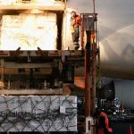 Día Mundial de la Alimentación TIPS efectivos para NO desperdiciar comida