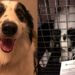 Capital humano de Administración refrenda espíritu de servicio a la ciudadanía