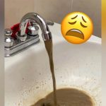 Gobierno de la CDMX cambiará a los micros por autobuses en 4 corredores