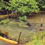 Lanzan plan contra fraudes por teléfono