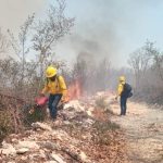 Estrategia del Bienestar avanza a lo largo del Tren Maya