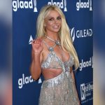 Gerrit Cole Brilla con 8 out en victoria de los Yankees sobre los Rays