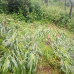 Jueza ordena eliminar publicación de reforma judicial en DOF