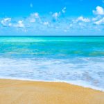 Disminuyen precios del cacao y chocolate